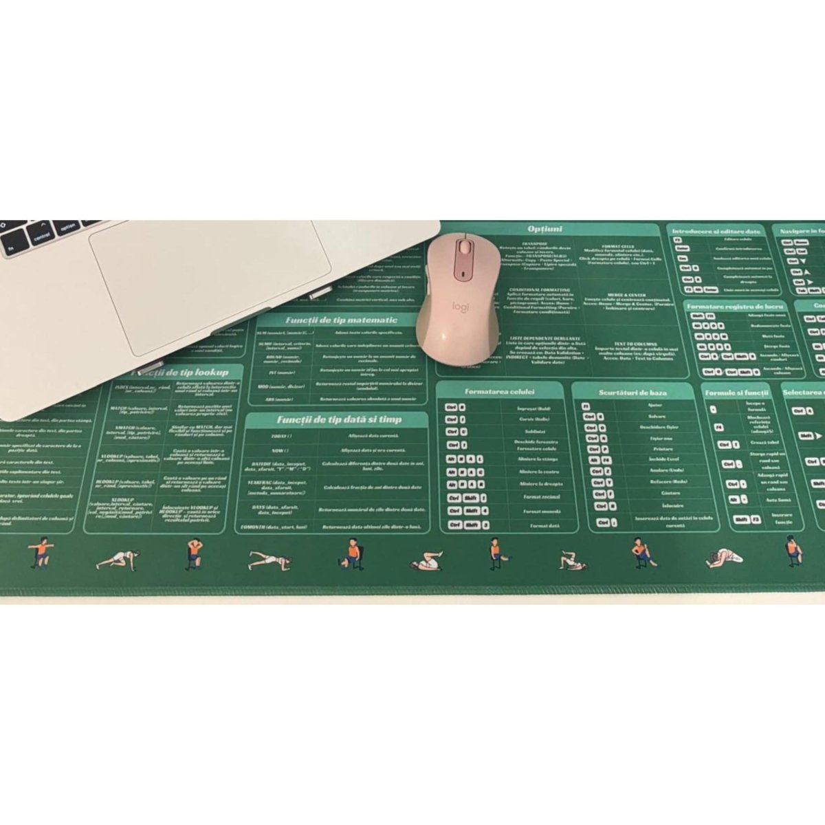 Deskmat Mousepad Excel Cu Mirela, Formule Optiuni si Scurtaturi Excel, Margini Cusute, Dimensiuni 800mm X 300MM - Excel cu Mirela Store